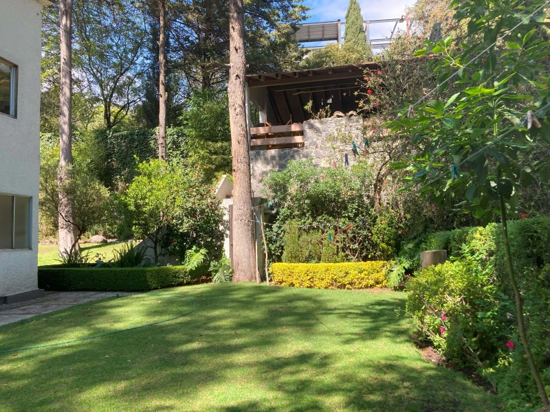 Imágen del proyecto Bosques de Tarango